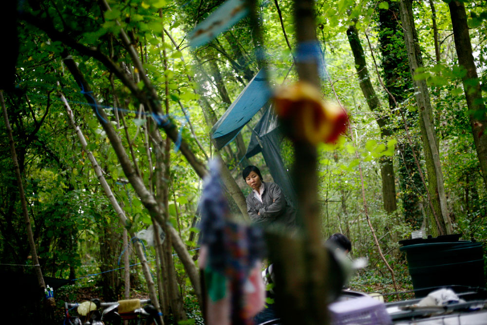 UNE JUNGLE EN CACHE UNE AUTRE. Des migrants vietnamiens se cachent dans un bois, en attendant de passer en Angleterre.