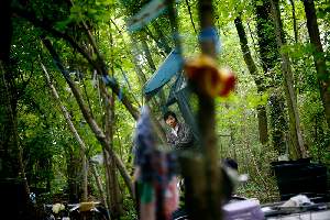UNE JUNGLE EN CACHE UNE AUTRE. Des migrants vietnamiens se cachent dans un bois, en attendant de passer en Angleterre.